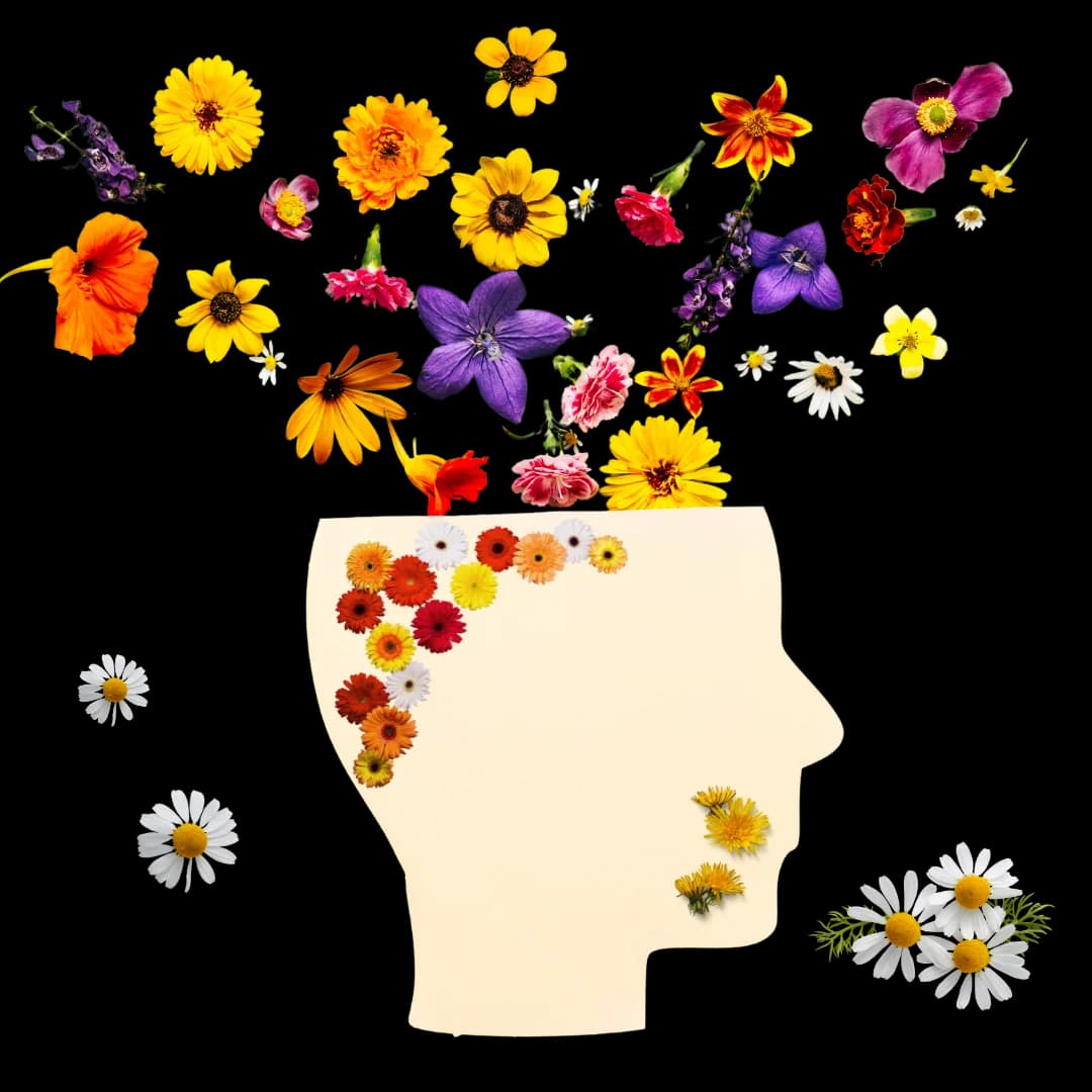 Decorative background for Fundamental Human Needs in IFS