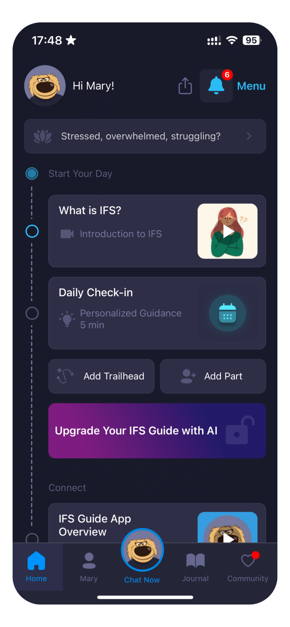 ifs meaning in chat